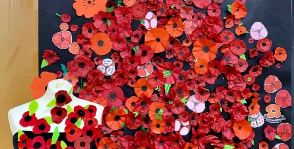 Hall Park Academy - Poppy Display